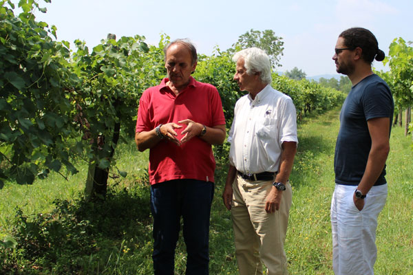 Weingarten Weingarten