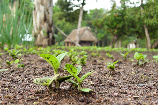 Beni, Bolivien Beni, Bolivien