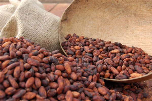 Beni, Bolivien Beni, Bolivien