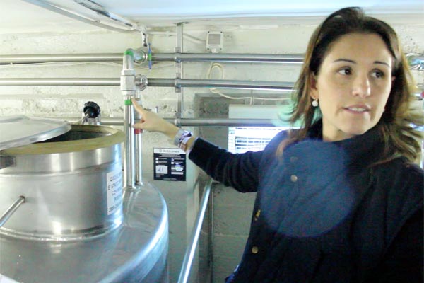 Bio oder konventionell Bio oder konventionell