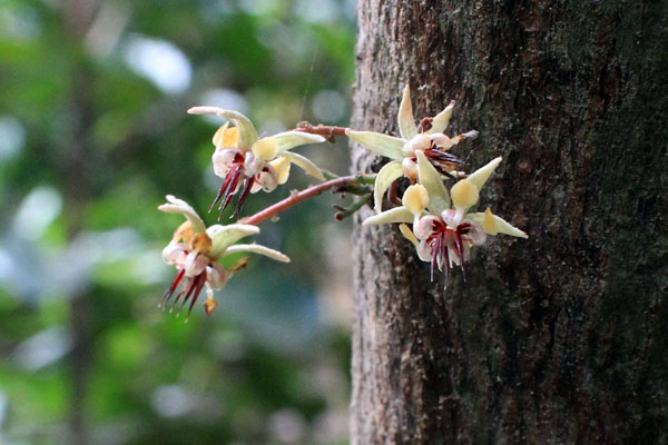 Cusco, Peru Cusco, Peru