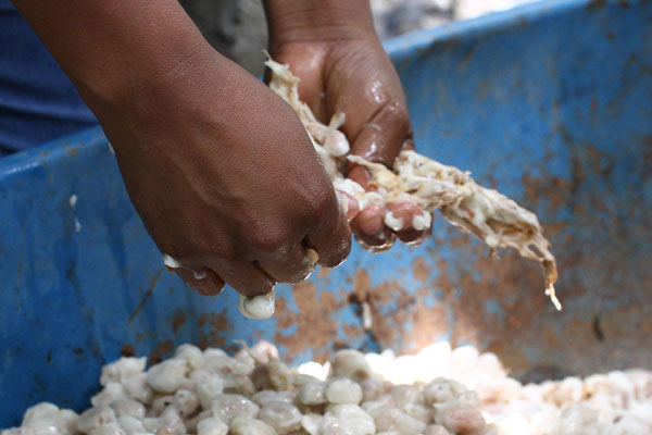 Cusco, Peru Cusco, Peru