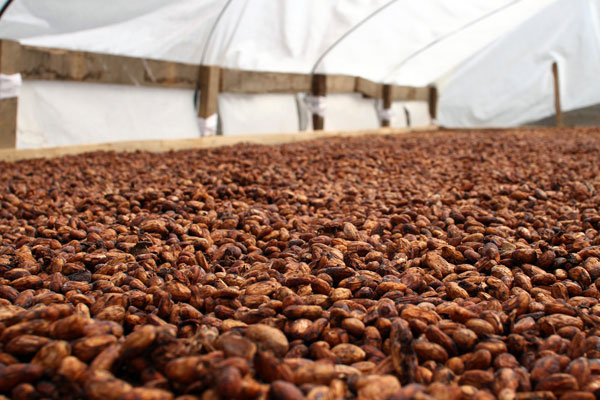 Cusco, Peru Cusco, Peru