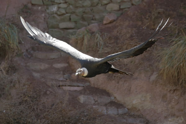 Cusco, Peru Cusco, Peru
