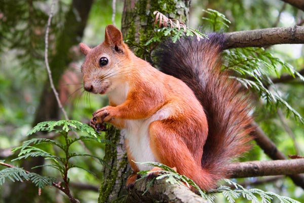 Nüsse und Kerne in Bio-Qualität Nüsse und Kerne in Bio-Qualität