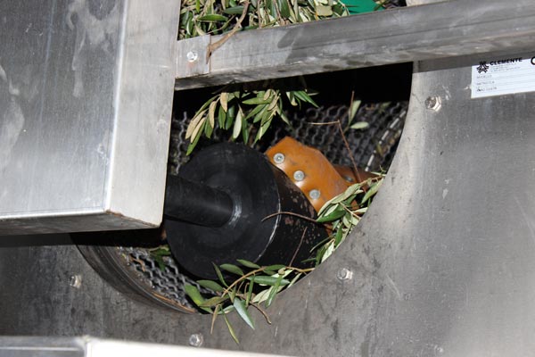 Entblättern Entblättern