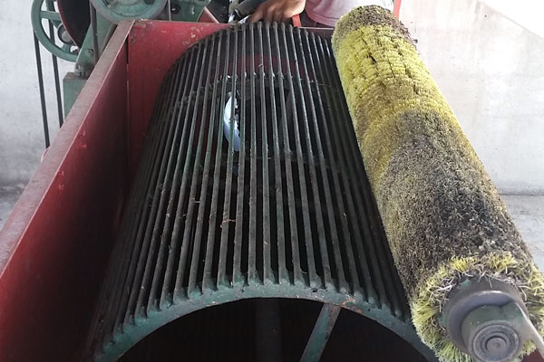 Häutchenentferner Häutchenentferner