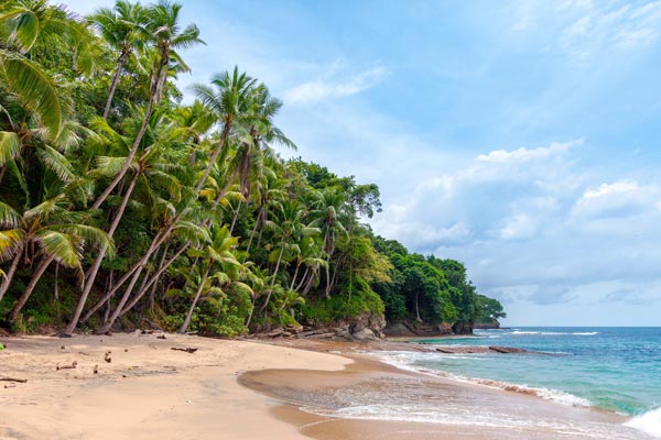 Kokosöl – ideal für Küche und Wohlbefinden Kokosöl – ideal für Küche und Wohlbefinden