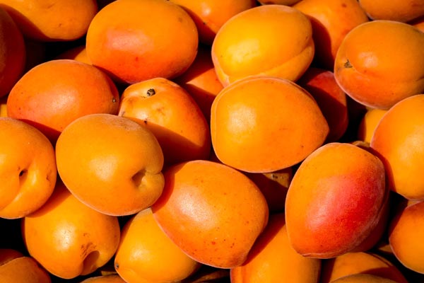 Trockenfrüchte – biologisch und unbehandelt Trockenfrüchte – biologisch und unbehandelt