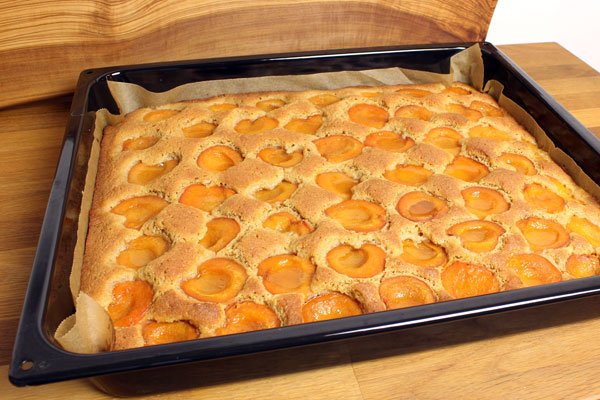 Fertiger Marillenkuchen Fertiger Marillenkuchen