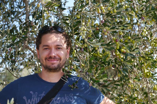 Reiche Ernte Reiche Ernte