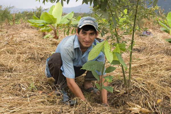 Piura, Peru Piura, Peruo