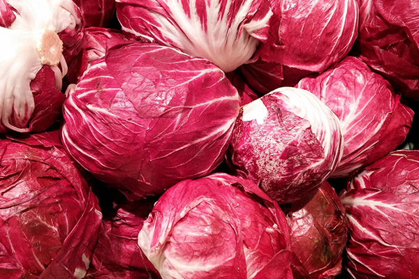 Radicchio Radicchio