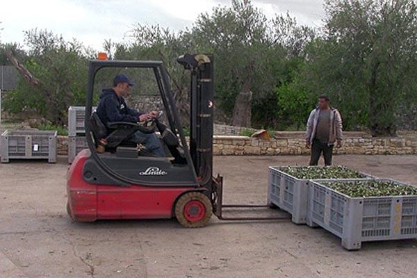 Verladen und wiegen Verladen und wiegen
