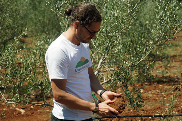 Terra Rossa Terra Rossa
