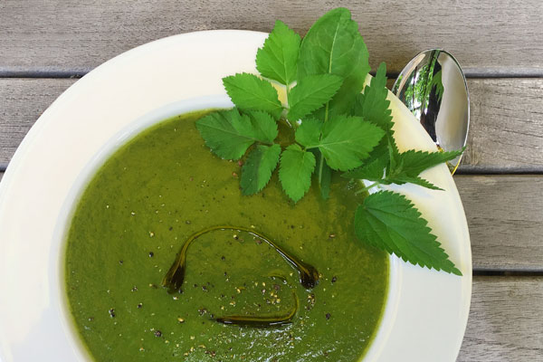 Rezept: Unkrautsuppe mit Hanföl Rezept: Unkrautsuppe mit Hanföl