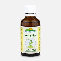 Koriander