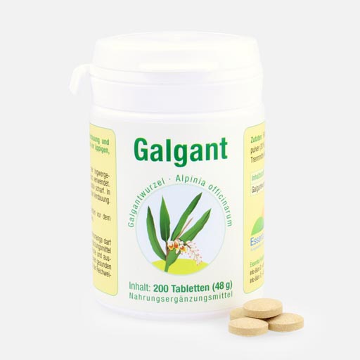 200 Tabletten Galgant 200 Tabletten Galgant